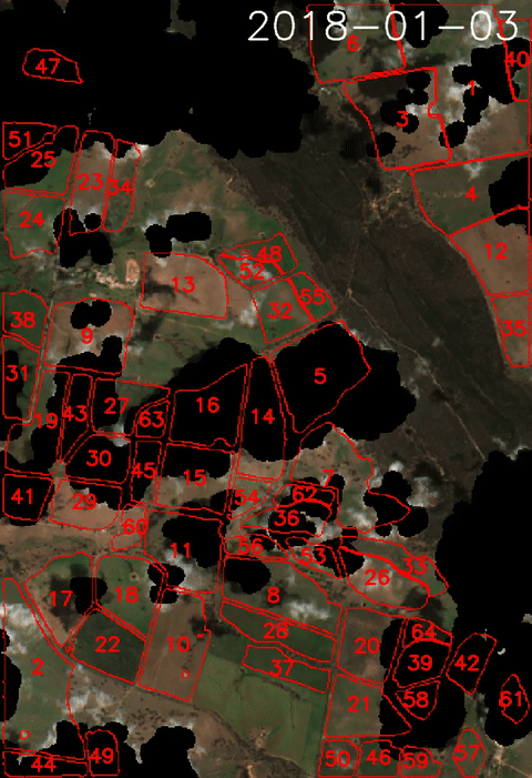 Eight years of Sentinel-2 over the Milgadara farm