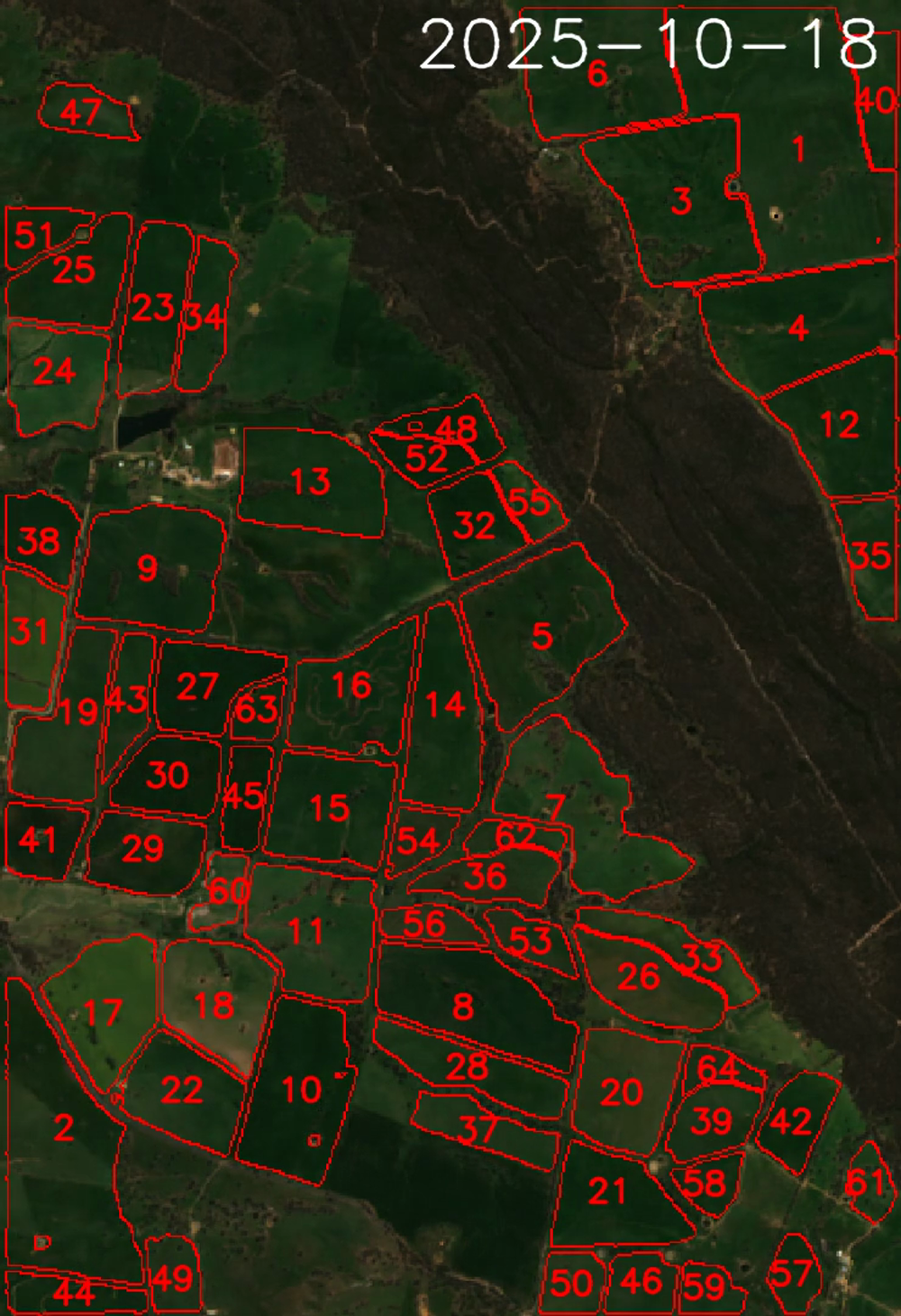 SAM-segmented paddocks over Sentinel-2 imagery