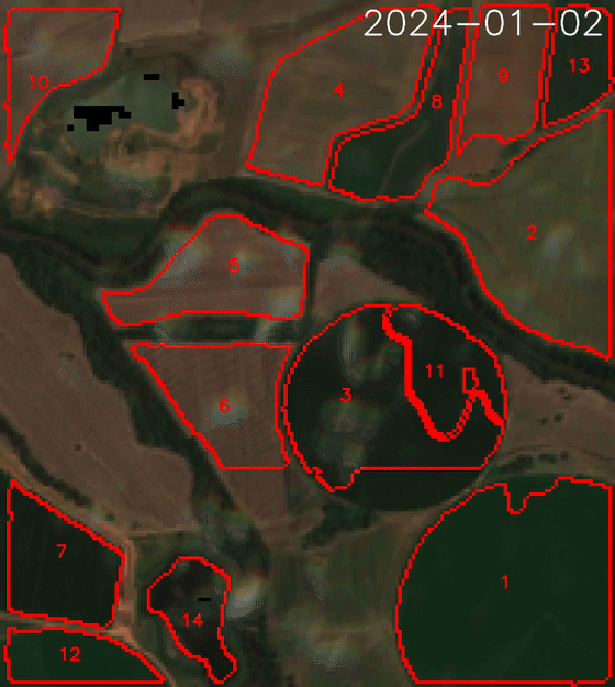 Sentinel-2 timeline with paddock boundaries